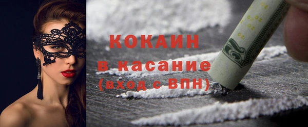 шишки Коряжма