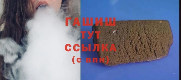 шишки Коряжма