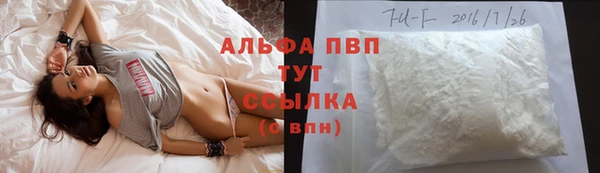 шишки Коряжма