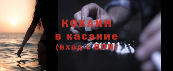 шишки Коряжма