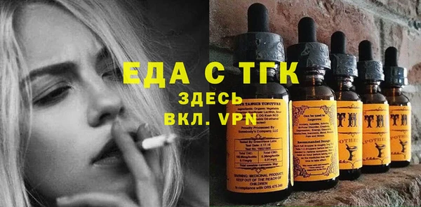 шишки Коряжма