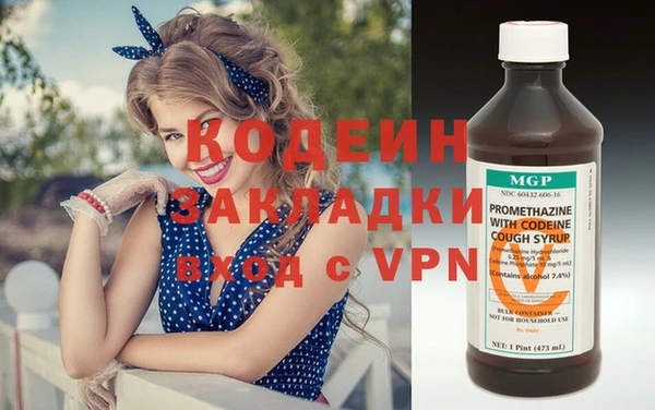 шишки Коряжма