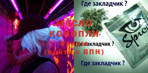 шишки Коряжма