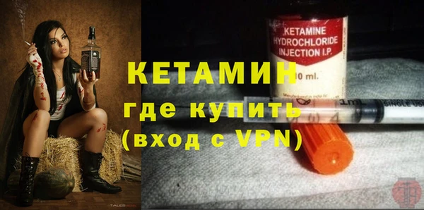 шишки Коряжма